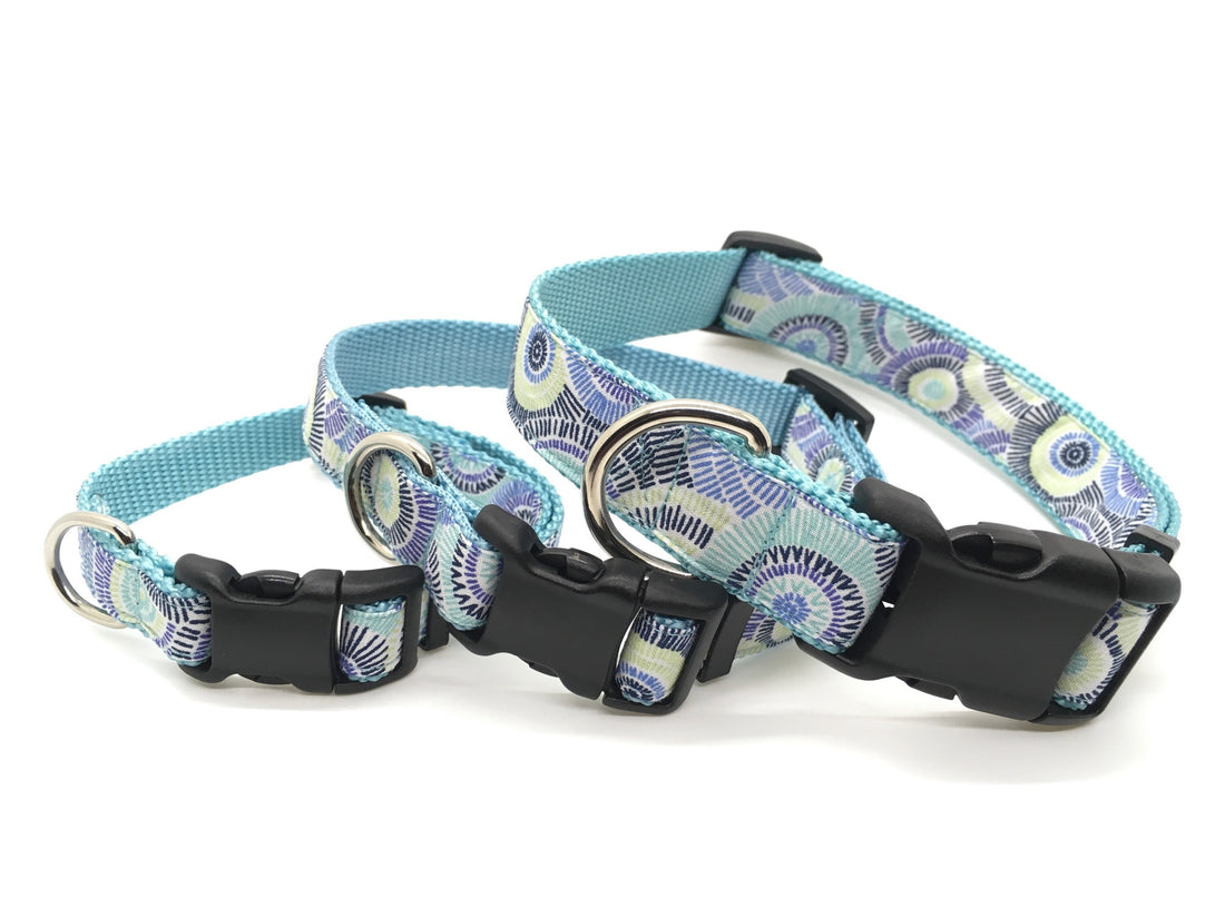 Persnickety Pets: Classic dog collar - seaspray on mist, stacked
