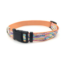 Persnickety Pets - confetti classic dog collar