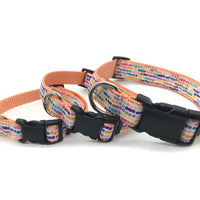 Persnickety Pets - confetti classic dog collar, 3 sizes, stacked