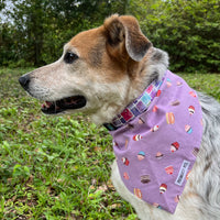 Persnickety Pets: Balou wearing cupcakes and candies reversible bandana side