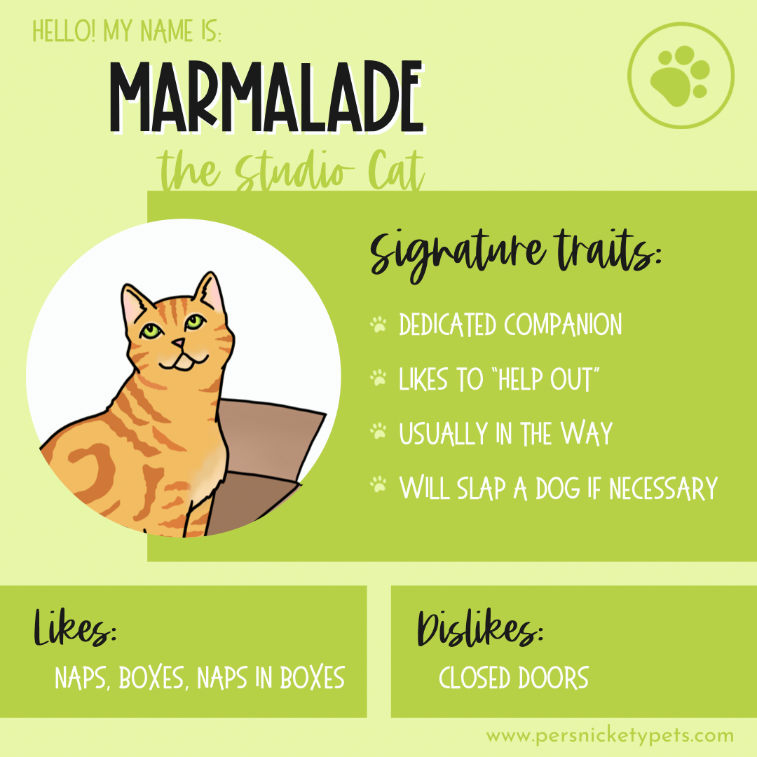 Persnickety Pets: Marmalade personality card