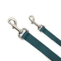 Persnickety Pets: teal dog leash, 2 sizes