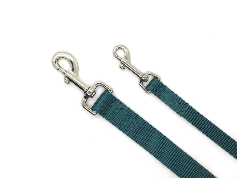 Persnickety Pets: teal dog leash, 2 sizes