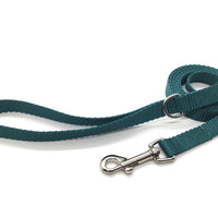 Persnickety Pets: teal dog leash, standard