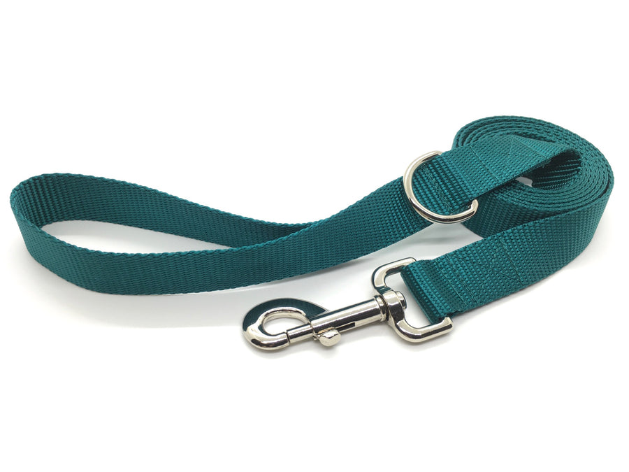 Persnickety Pets: teal dog leash, wide