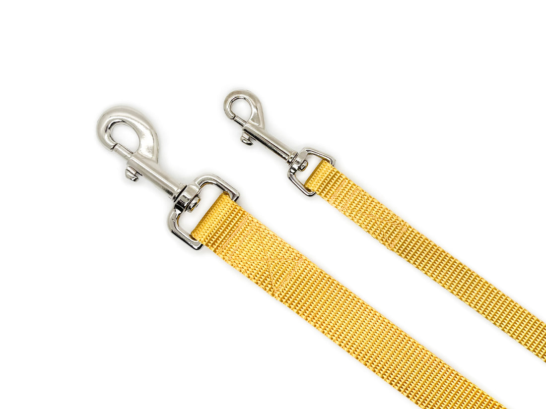 Persnickety Pets: Gold dog leash 2 sizes