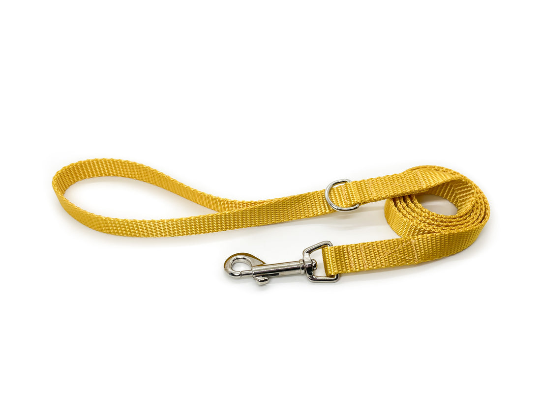 Persnickety Pets: Gold dog leash standard