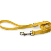 Persnickety Pets: Gold dog leash standard