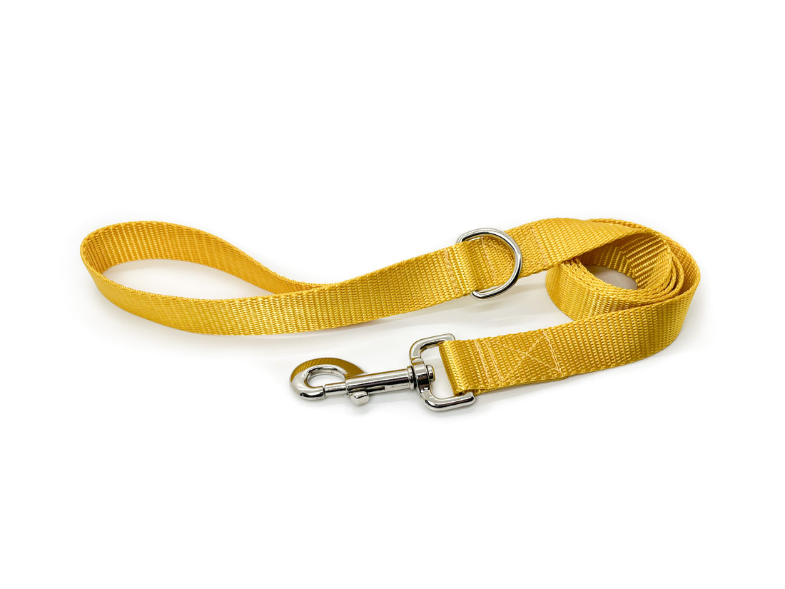 Persnickety Pets: Gold dog leash wide