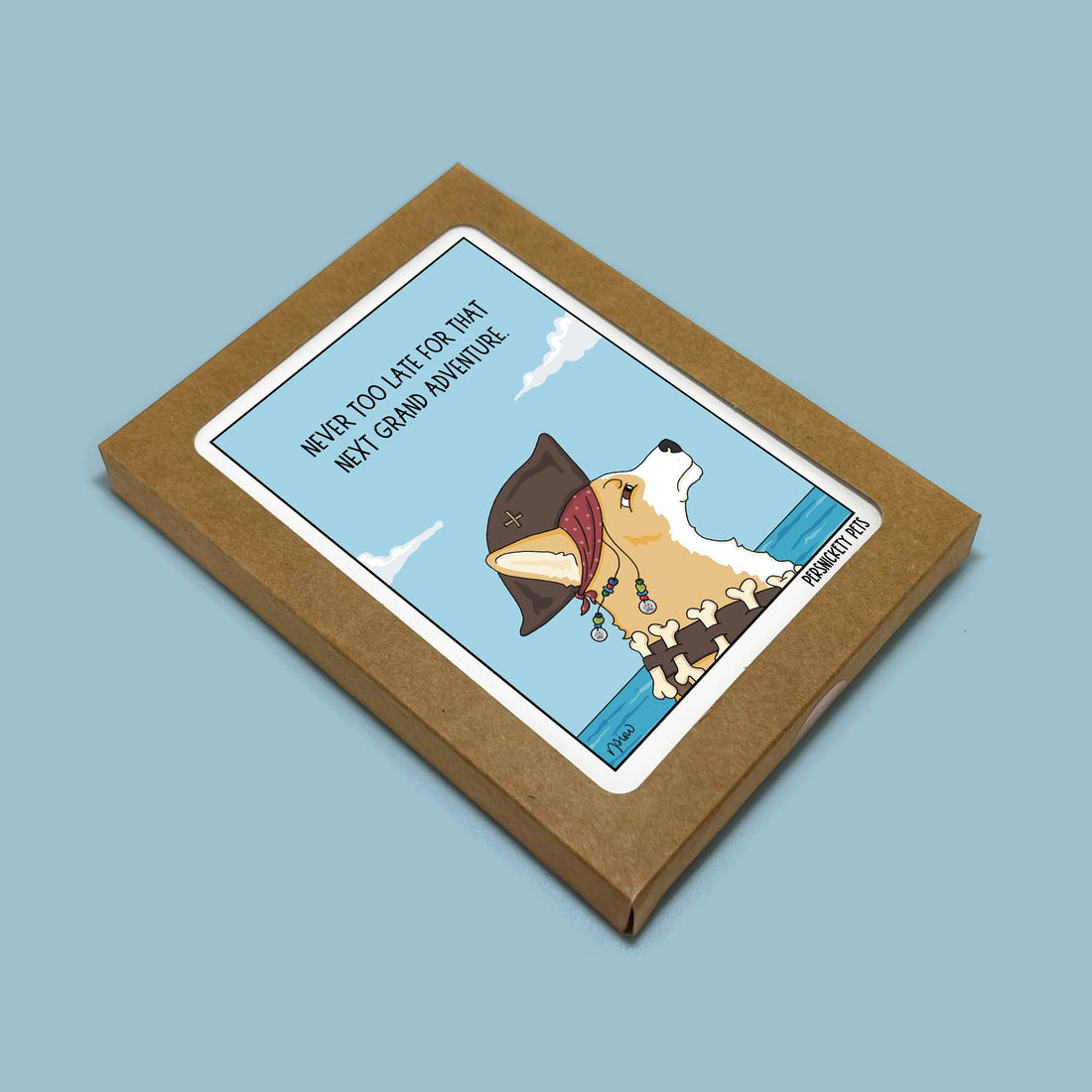 Persnickety Pets: Never too late notecard boxed set