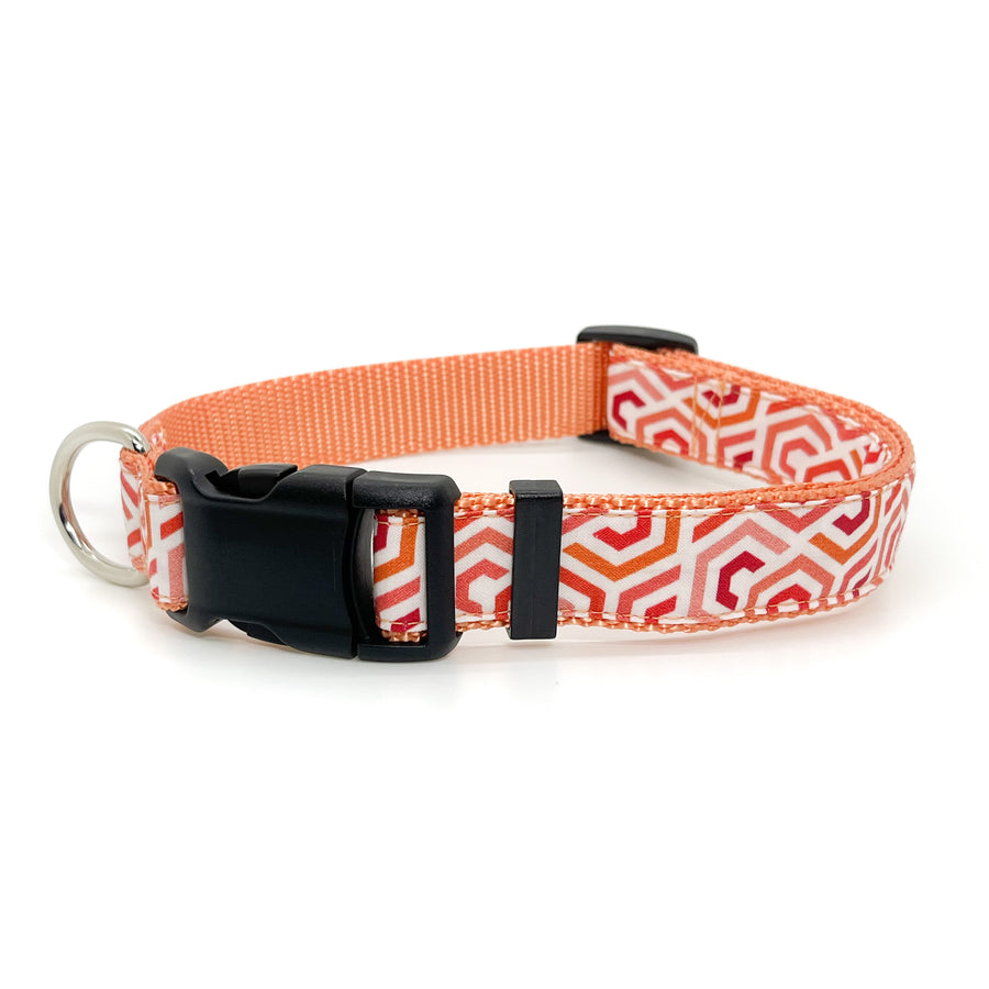 Persnickety Pets: Coral deco dog collar