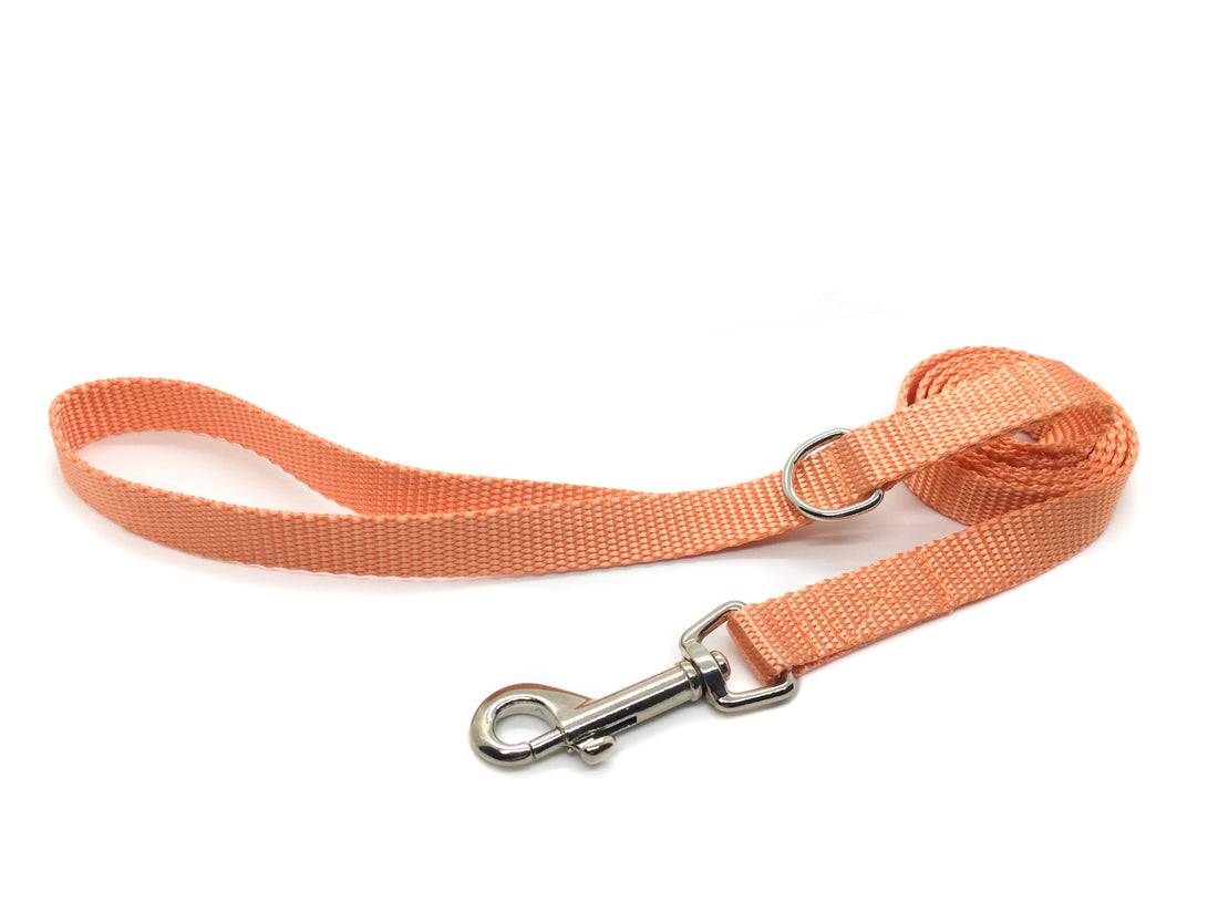 Persnickety Pets - peach dog leash, standard
