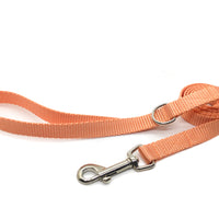 Persnickety Pets - peach dog leash, standard