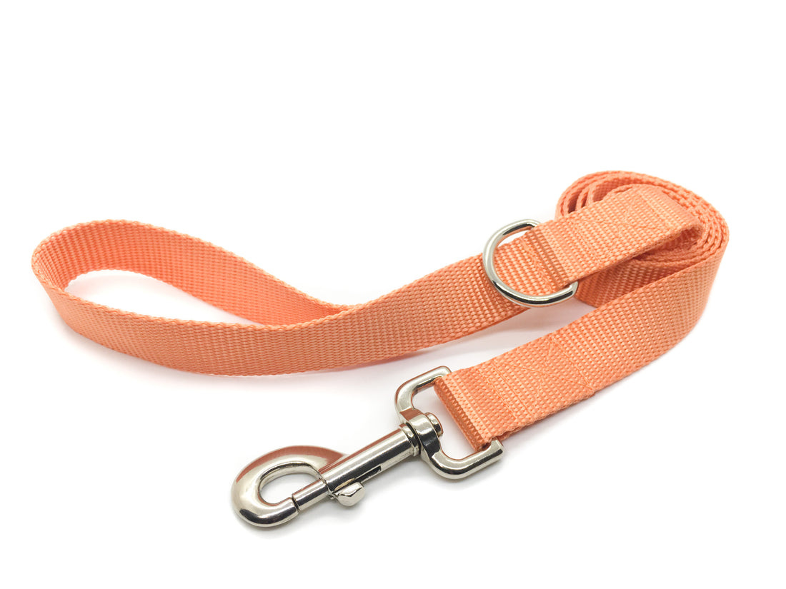 Persnickety Pets - peach dog leash, wide