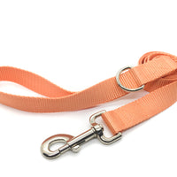 Persnickety Pets - peach dog leash, wide