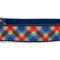 Persnickety Pets: Rainbow plaid dog collar, detail