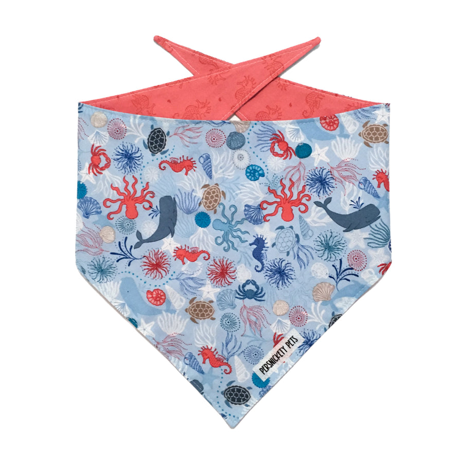 Persnickety Pets: creatures of the sea bandana, front