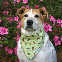 Persnickety Pets: Small friends reversible bandana, Balou modeling front