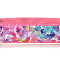 Persnickety Pets: Watercolor splash classic dog collar detail